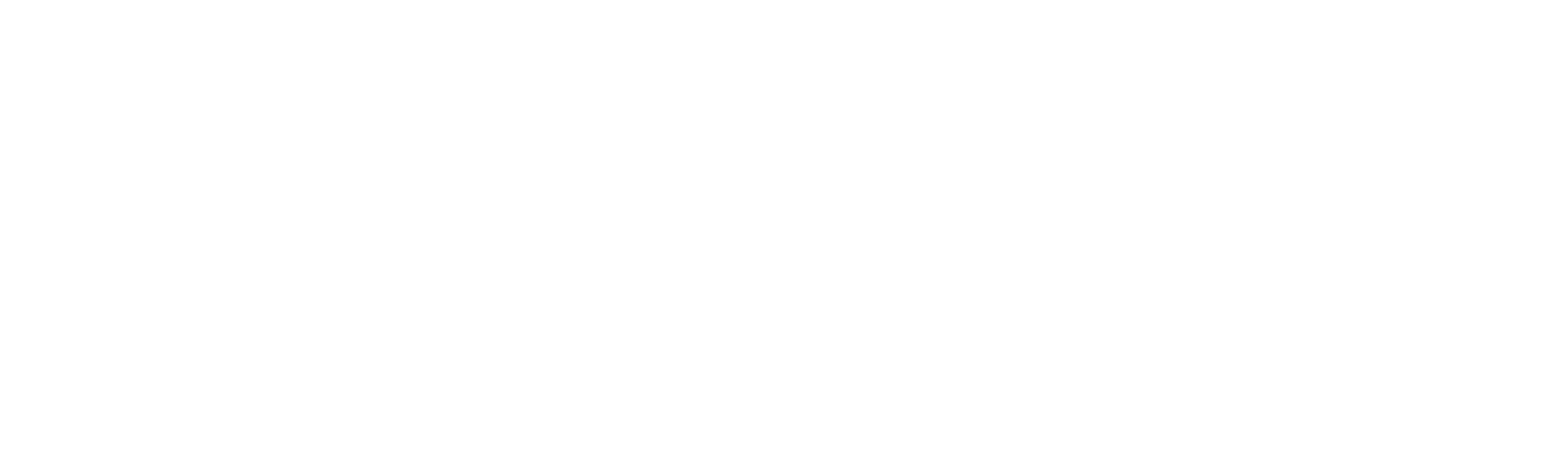 WMSR Merch PRT L - Stiperstones - White version