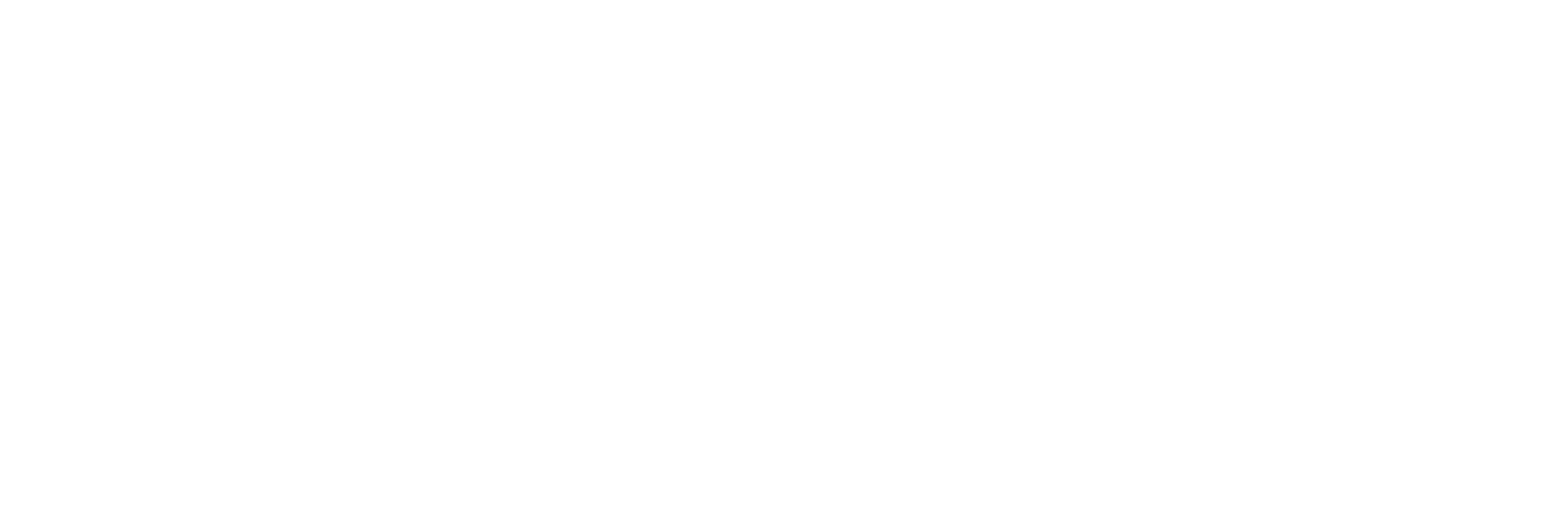 WMSR Merch PRT L - Black Hill  - White Version