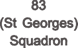 83 St Georges Squadron Sleeve Black Text