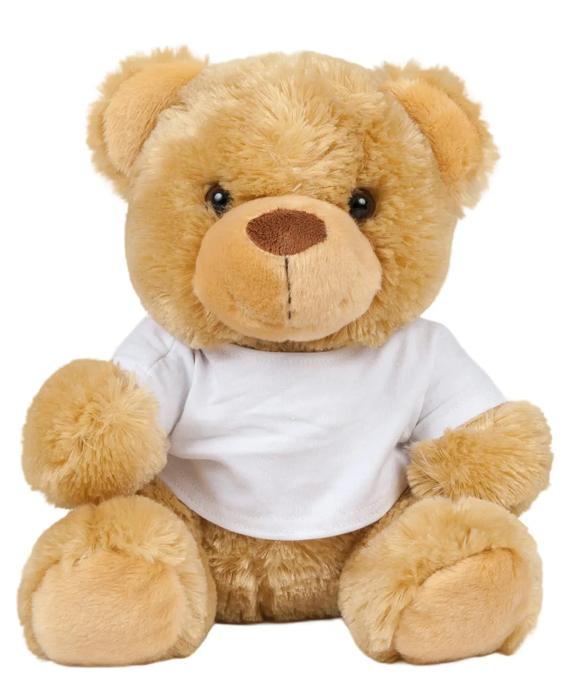 Mumbles Bear in a t-shirt